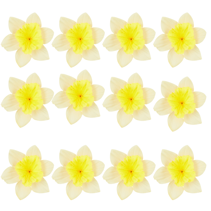 [68h2601] Główka wyrobowa żonkil mini 7cm żółty cieniowany 12szt