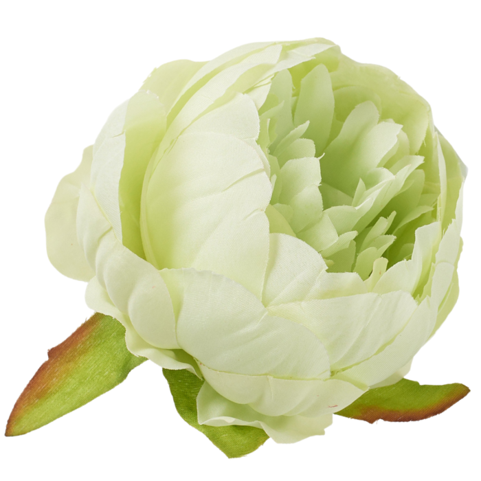 [wb50206] Główka kwiatowa peonia 8cm zielona