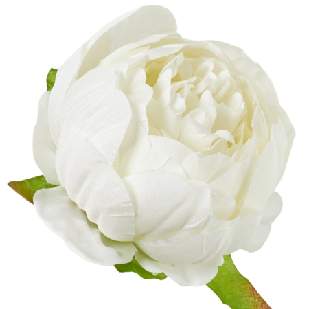 [wb50037] Główka kwiatowa peonia 8cm biała