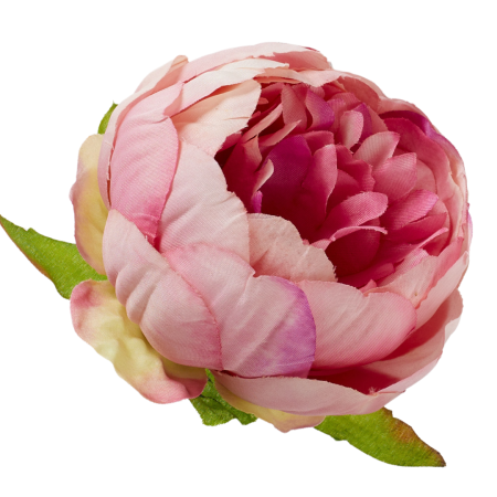 [wb50219] Główka kwiatowa peonia 8cm różowa cieniowana