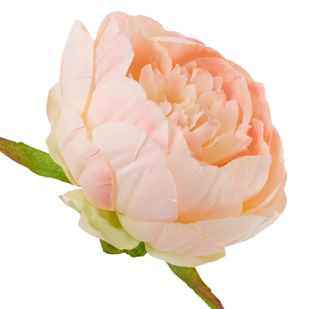 [wb50210] Główka kwiatowa peonia 8cm brzoskwiniowa