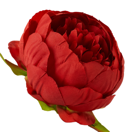 [wb50202] Główka kwiatowa peonia 8cm czerwona