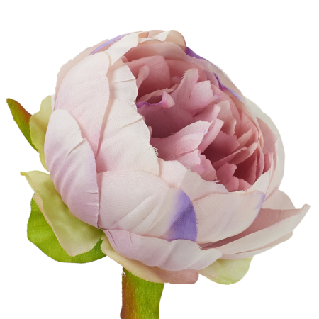 [wb50001] Główka kwiatowa peonia 8cm różowofioletowa