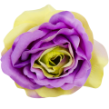[w19787] Róża główka 12cm fioletowo- żółta