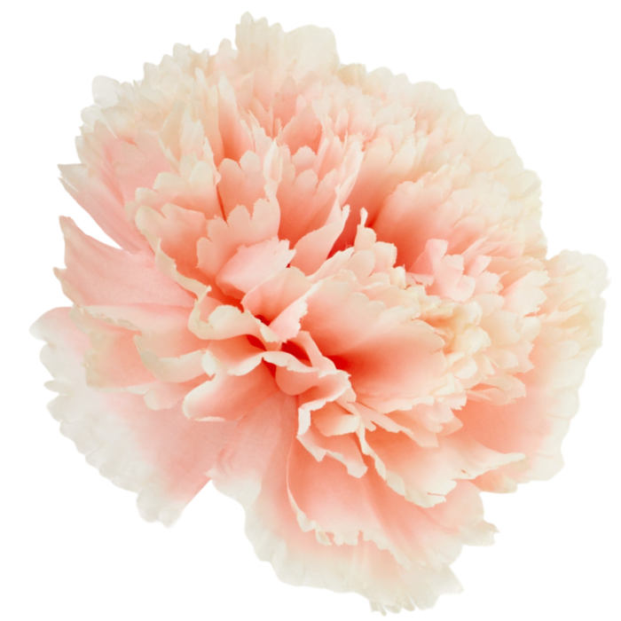 [w34005] Goździk główka 11cm brzoskwiniowa