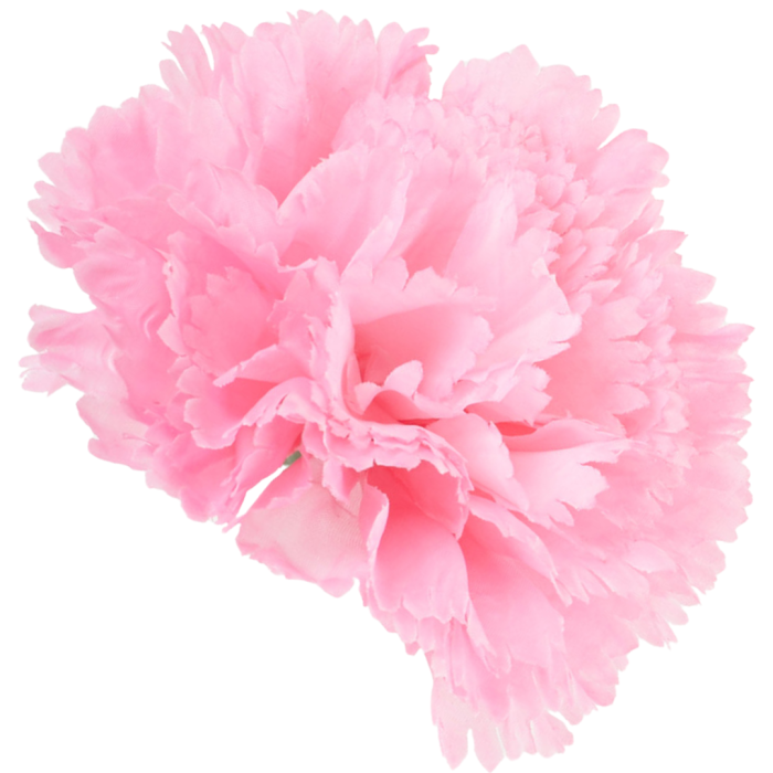 [w34010] Goździk główka 11cm cukierkowy róż