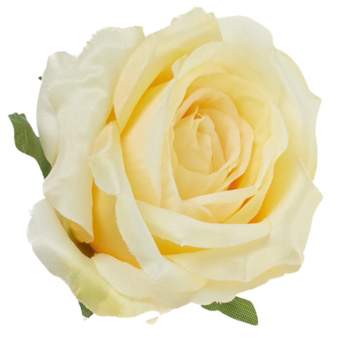 [68b53085] Róża główka wyrobowa 10cm waniliowa