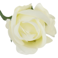 [w10901] Róża główka 9cm kremowa