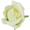 [w10915] Róża główka 9cm kremowozielona