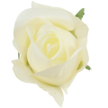 [w10930] Róża główka 9cm ecru