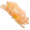 [w15013] Główka kwiatowa peonia duża 15cm morelowa