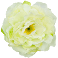 [w15023] Główka kwiatowa peonia duża 15cm kremowozielona