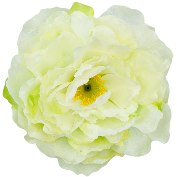 [w15023] Główka kwiatowa peonia duża 15cm kremowozielona