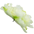 [w15023] Główka kwiatowa peonia duża 15cm kremowozielona
