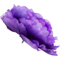 [w15049] Główka kwiatowa peonia duża 15cm fioletowa cieniowana