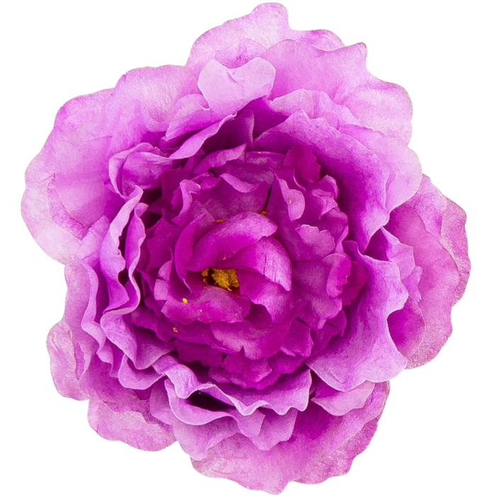 [w15050] Główka kwiatowa peonia duża 15cm lawendowa