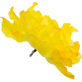 [w15069] Główka kwiatowa peonia duża 15cm żółta