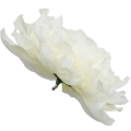 [w15071] Główka kwiatowa peonia duża 15cm kremowa