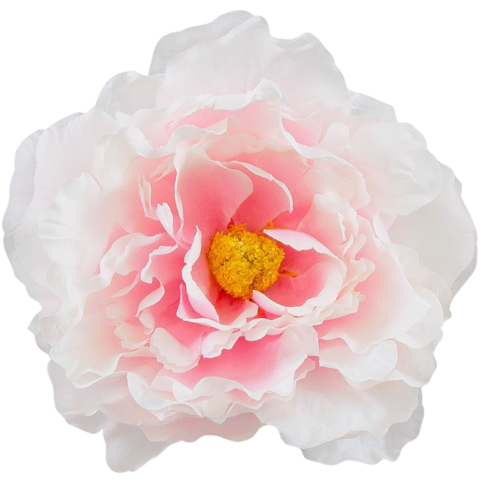 [w15076] Główka kwiatowa peonia duża 15cm pudroworóżowa