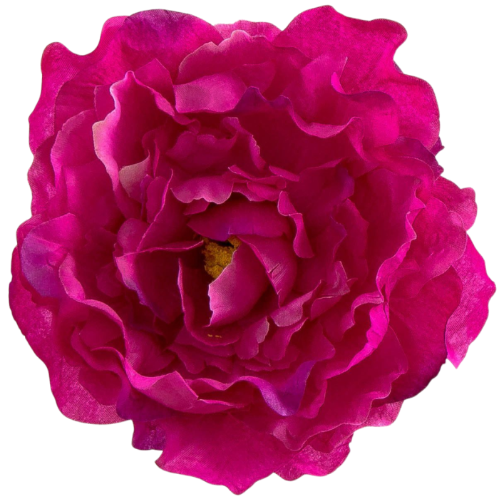 [w15077] Główka kwiatowa peonia duża 15cm fuksja