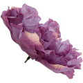 [w15079] Główka kwiatowa peonia duża 15cm śliwkowa