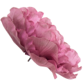 [w15083] Główka kwiatowa peonia duża 15cm ciemnoróżowa przydymiona