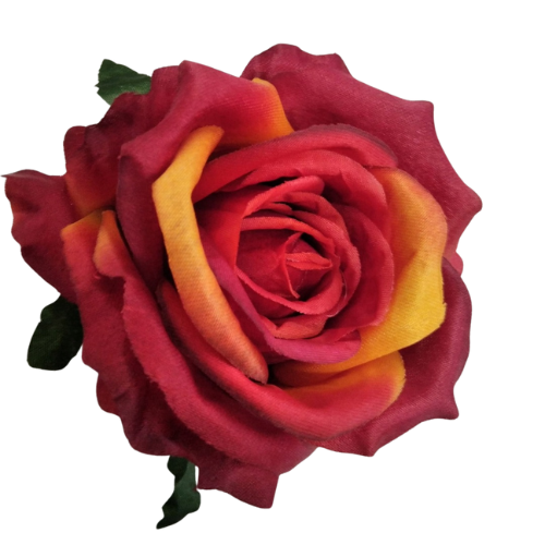 [68b53113] Róża główka wyrobowa 10cm bordowo-żółta