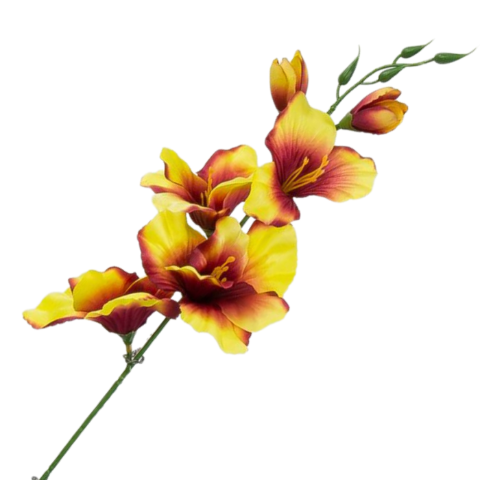 [w17307] Mieczyk satynowy gałązka 54cm żółto- brązowy