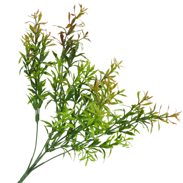 [68u5403] Asparagus bukiet szerokie listki zielono-miedziany 35cm