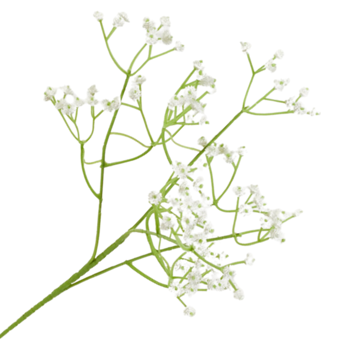 [wb2101] Gałązka kwiatowa gipsówka biała 60cm