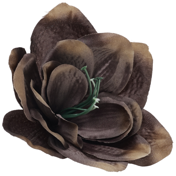 [w96061] Główka kwiatowa clivia 15-16cm czekoladowo-karmelowa