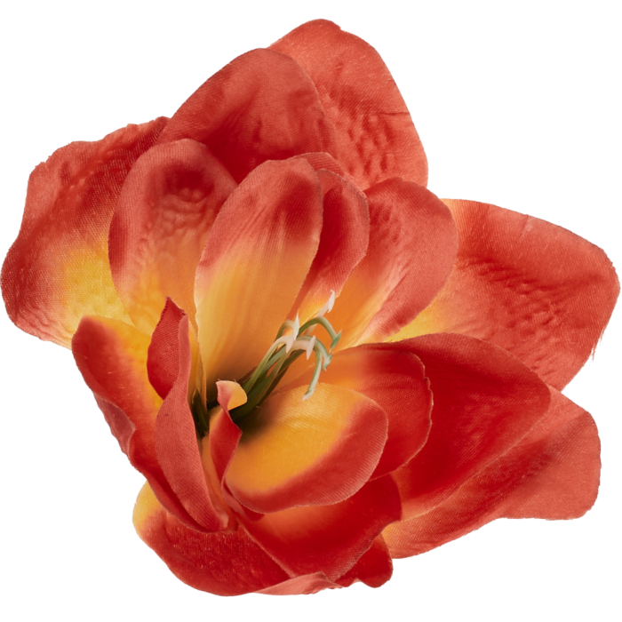 [w96060] Główka kwiatowa clivia 15-16cm ceglasto-żółta