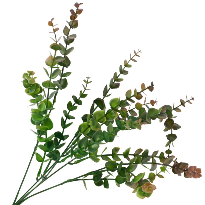 [68u6502] Bukiet eukaliptusa zielono-burgundowy 40cm