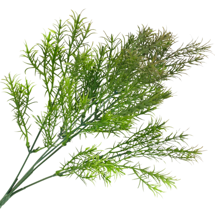 [68u5102] Asparagus bukiet zielony 35cm