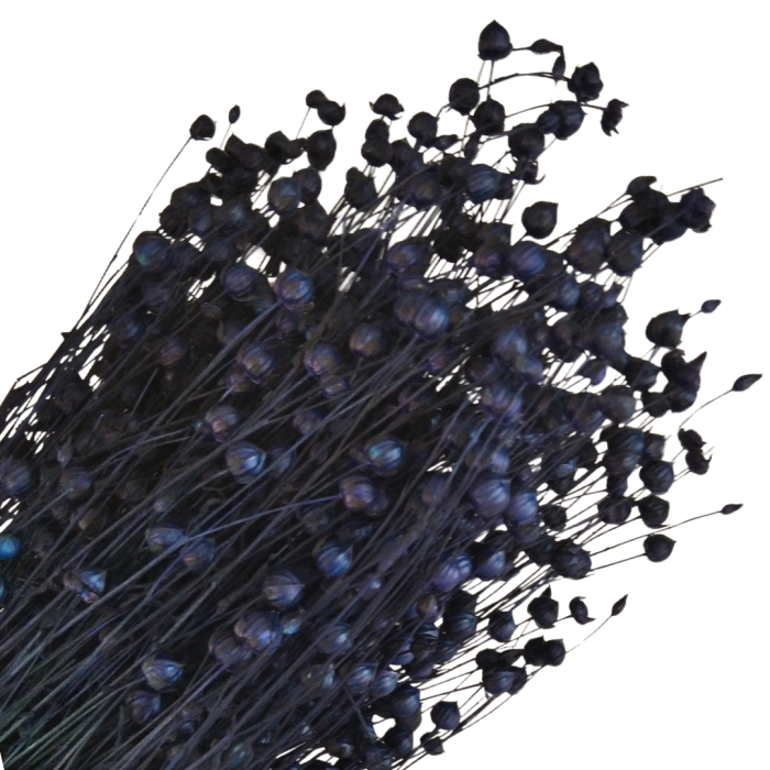 [59078] Suszony len ozdobny atramentowy wiązka około 70szt