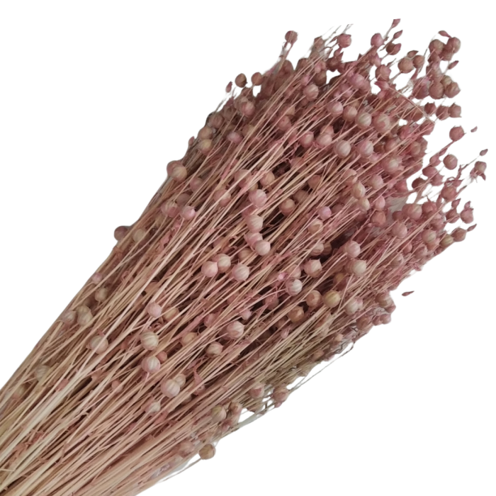 Kopia Kopia Kopia Kopia Kopia Kopia Kopia Kopia Bez tytułu - 2025-07-14T093228.293.png