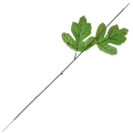 [68o2701] Łodyga chryzantemy 51cm