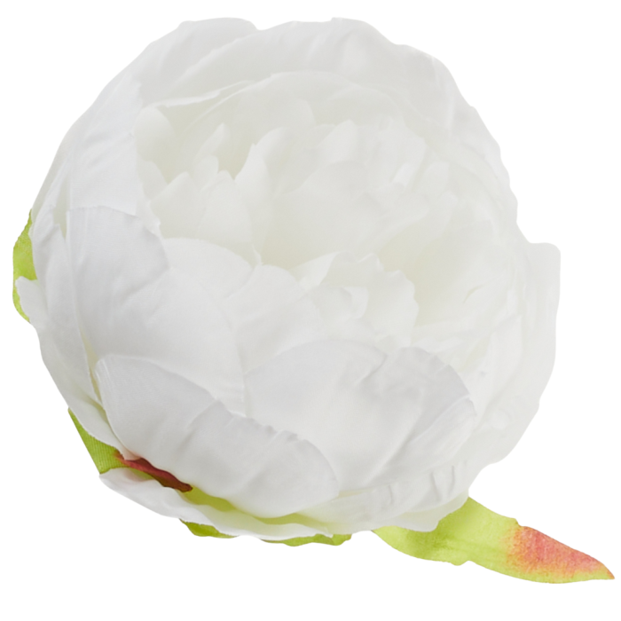 [wb50101] Główka kwiatowa peonia 8cm śnieżnobiała