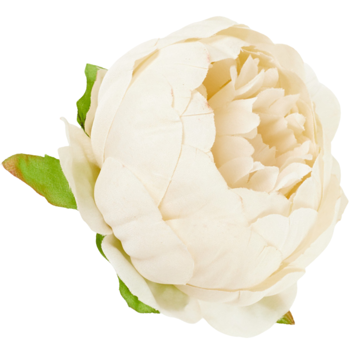 [wb50144] Główka kwiatowa peonia 8cm jasnobeżowa