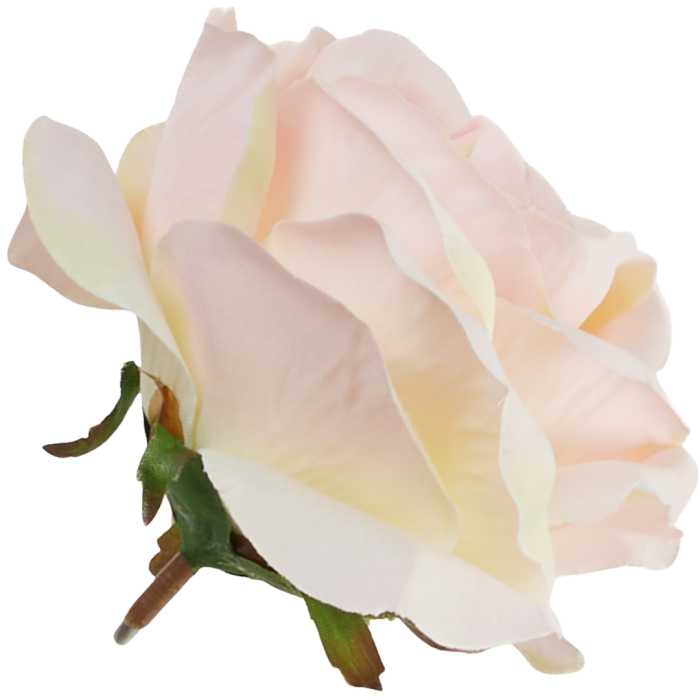 [w19793] Róża główka 12cm pudroworóżowy cieniowany