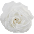 [w19795] Róża główka 12cm biała