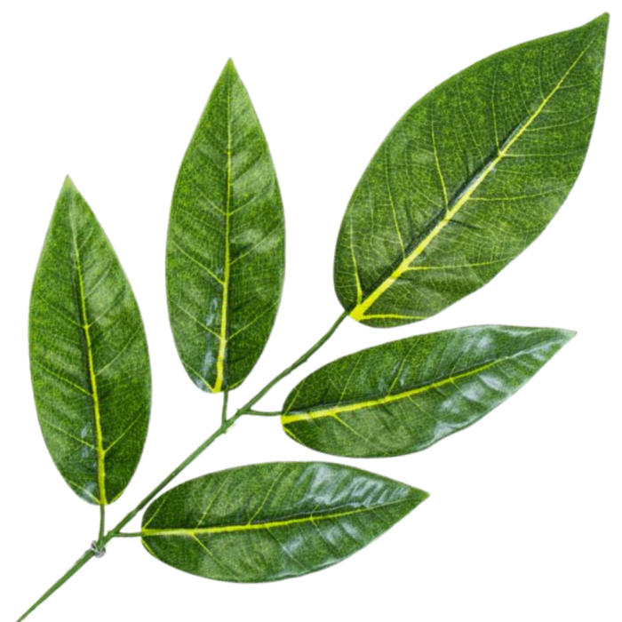 [68s18714] Gałązka liście dekoracyjne nr 14 zielone