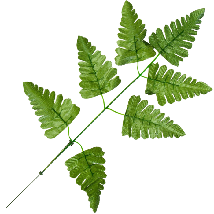 [68s52301] Gałązka liście paproci ciemnozielone 42cm