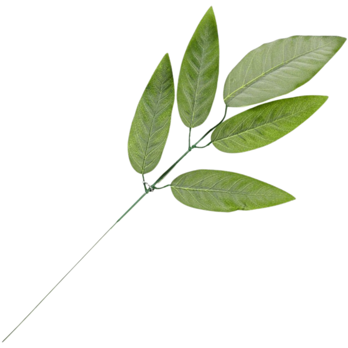 [68s38501] Gałązka liście omszałe jasnozielone 58cm