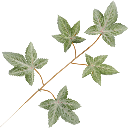 [68s74202] Gałązka liście jesienne zielone 54cm