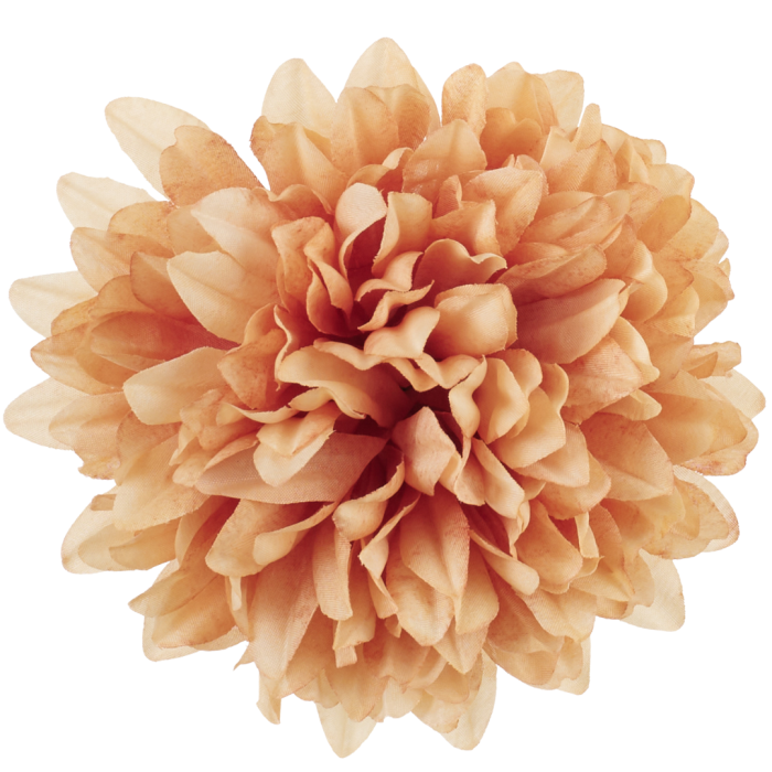 [68d7754] Główka chryzantema 7 płatków 13cm cappuccino 6szt
