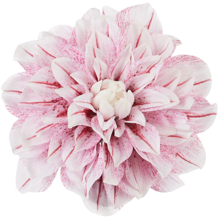 [68b3239] Główka kwiatowa dalia 17cm biało- jasnoróżowa