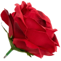 [w19752] Róża główka 12cm ciemnoczerwona