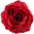 [w19752] Róża główka 12cm ciemnoczerwona