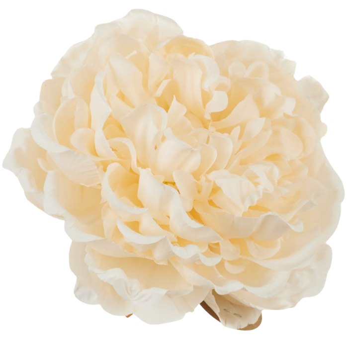 [68b3501] Główka kwiatowa peonia 15cm beżowa